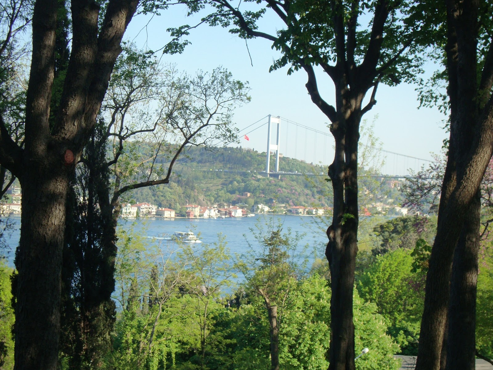 Emirgan Korusu'dan İstanbul Boğazı manzarası.